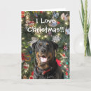 Suche nach spiegeleier postkarten Weihnachtskarte