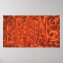 Suche nach bohnen poster Nahrung