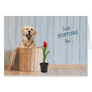 Suche nach jagdhunde karten Lustig