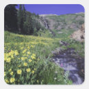 Recherche de fleur alpine autocollants Prairie