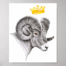 Recherche de chignon posters Animaux