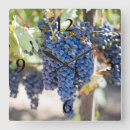 Recherche de vignobles horloges Fruits