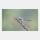 Recherche de ailes de libellule autocollants Faune