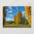 Recherche de agriculture cartes postales Mouton