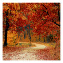 Suche nach wald im herbst poster Gelb