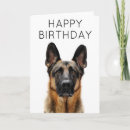 Recherche de chiens de berger allemand vœux cartes D'anniversaire de chien