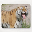 Suche nach sagen sie mousepads Tier