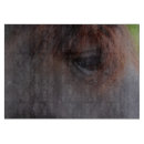 Recherche de cheval planches à découper Animal