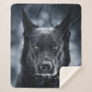 Suche nach hirten decken Hunde