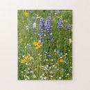 Recherche de fleur sauvage puzzles Montagnes