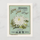 Recherche de publicite cartes postales Pour lui