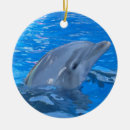 Recherche de bottlenose Poissons