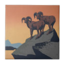 Suche nach nationalparks fliesen 1930 1939