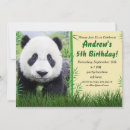 Recherche de pandas invitations Fête