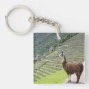 Recherche de alpacas porteclés Lamas