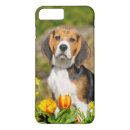 Recherche de tricolore iphone coques Beagle