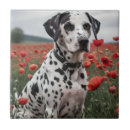 Suche nach dalmatiner fliesen Hund