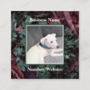 Suche nach kleeblatt visitenkarten Irisch