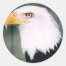Suche nach staatssymbole aufkleber Amerika