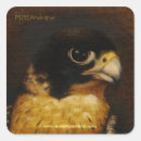 Recherche de faucons autocollants Pérégrin