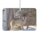 Recherche de loups voiture accessoires Nature