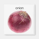 Suche nach zwiebel magnete Foto