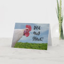 Recherche de coq humoristique cartes postales Ferme
