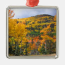 Recherche de aspen colorado ornements Montagnes