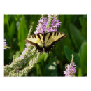 Recherche de pourpre de fleur posters Floral