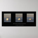 Suche nach hai poster Ozean