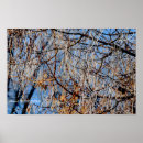 Suche nach winterlicher poster Winterbaum