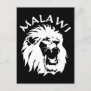 Suche nach lions poster postkarten Löwe
