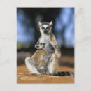 Recherche de jeunesse cartes postales Mignon