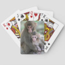 Suche nach affe spielkarten Wildtiere