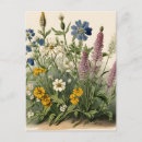 Recherche de fleurs vintages cartes postales Fleur sauvage
