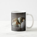 Recherche de longs chiens tasses Animaux