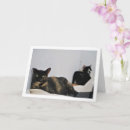 Recherche de noir et blanc chat vœux cartes Amoureux de les chats