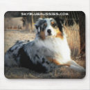 Recherche de australien tapis souris Berger