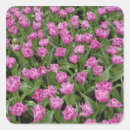Suche nach keukenhof aufkleber Niederlande