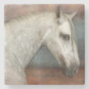 Suche nach andalusien untersetzer Pferd