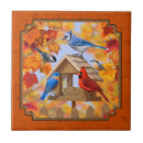 Suche nach blaues jay fliesen Tierwelt