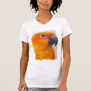 Recherche de conure tshirts Jaune