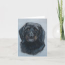 Recherche de chien caniche vœux cartes Doré