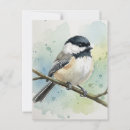 Recherche de bécasseaux cartes postales Oiseau