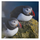 Suche nach atlantik fliesen Europa