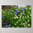 Recherche de perce neige posters Printemps