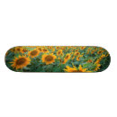 Recherche de beauté skateboards Ciel
