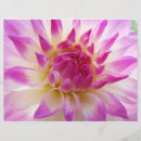 Suche nach lila blumen flyer Für sie