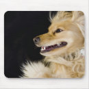 Suche nach spaniel mousepads Freundschaft