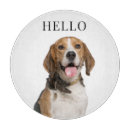 Recherche de photo planches à découper Dog